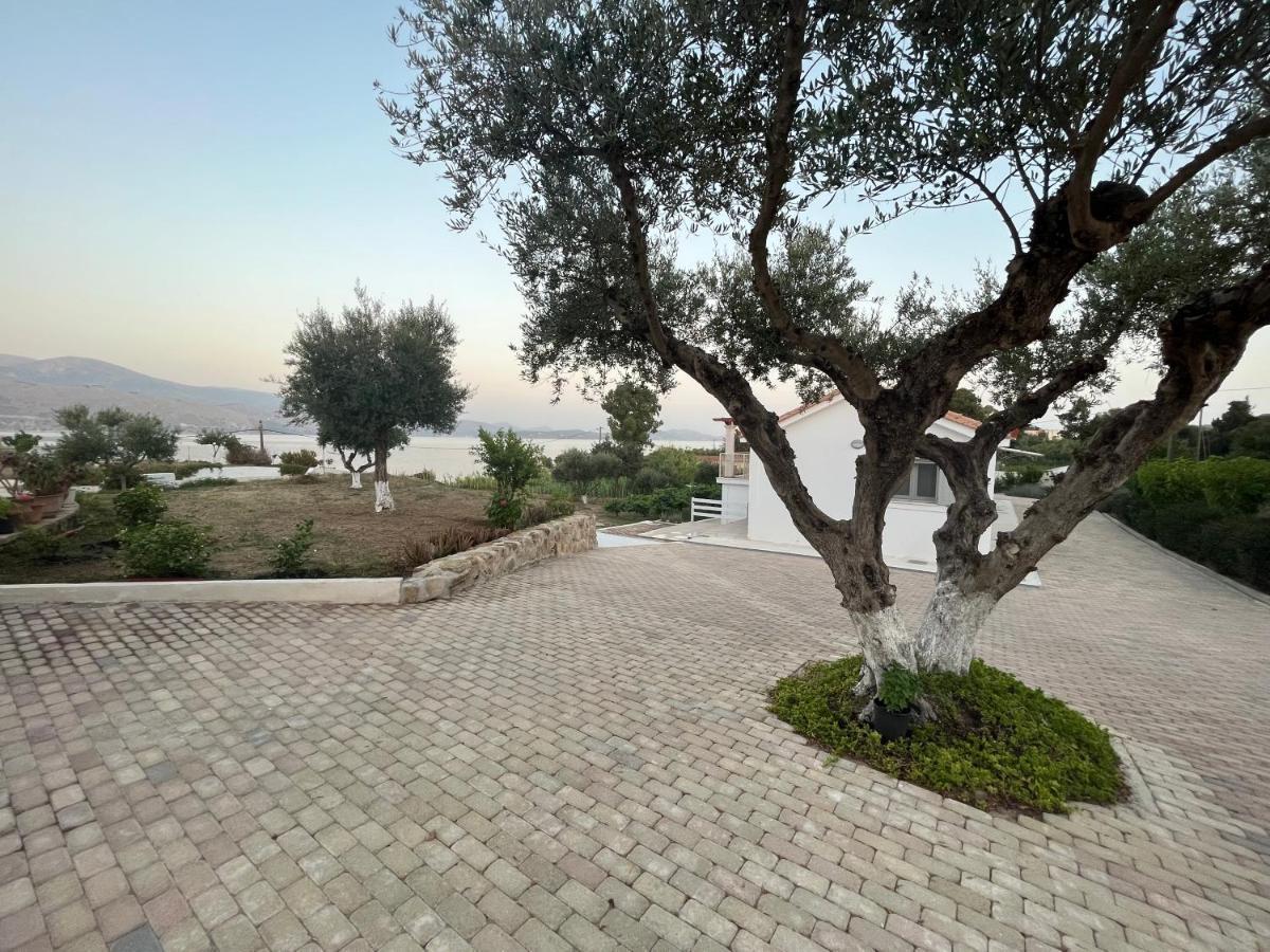 Apollonides Seafront Villa1 Aoede Lixúri Exterior foto