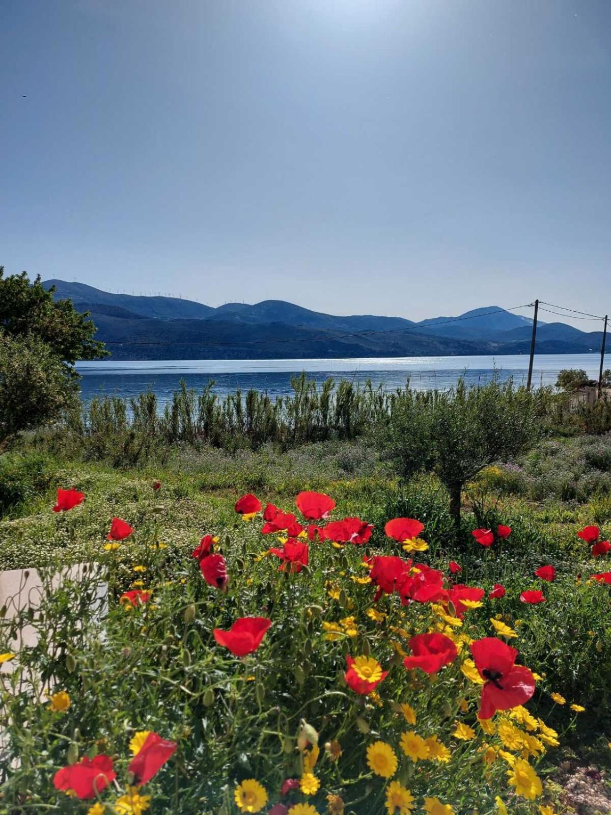 Apollonides Seafront Villa1 Aoede Lixúri Exterior foto